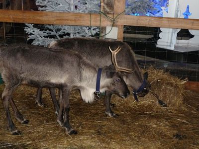 Marché de Noël 2011 016