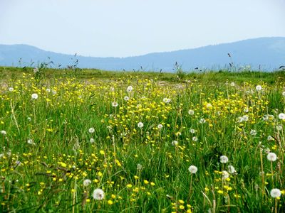 Balade dans les vosges 052