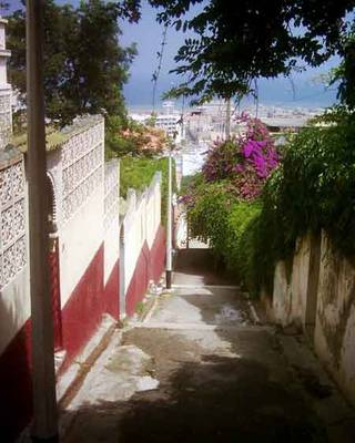 Alger-kouba