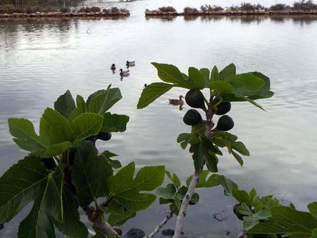 04 2012 vacances printemps 039