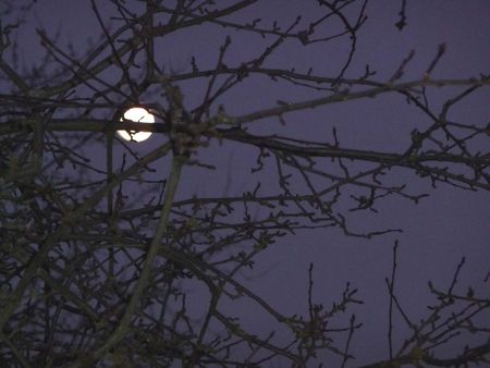 Soir de pleine lune l