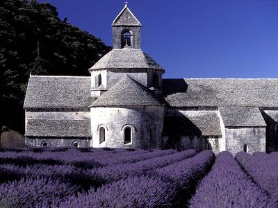 Abbaye-de-senanque