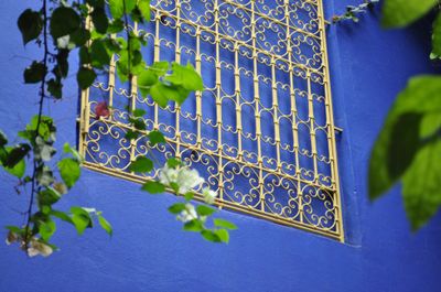 Jardin-majorelle-marrakech-10