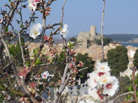 gruissan printemps