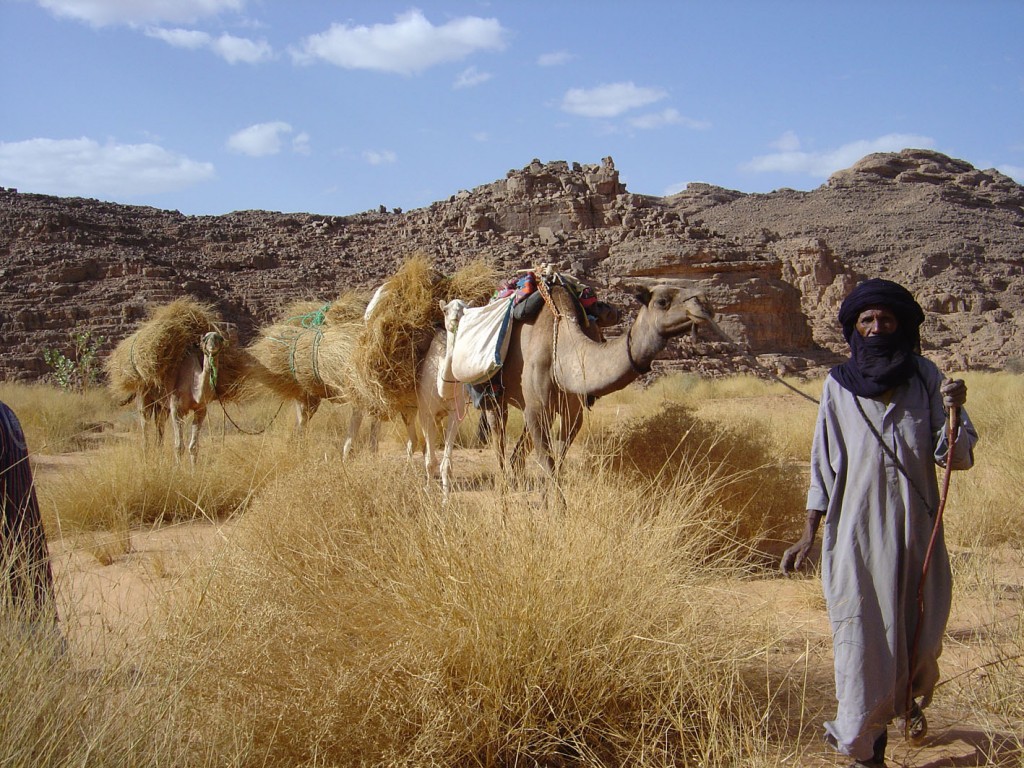 Tassili N'Ajjer 15