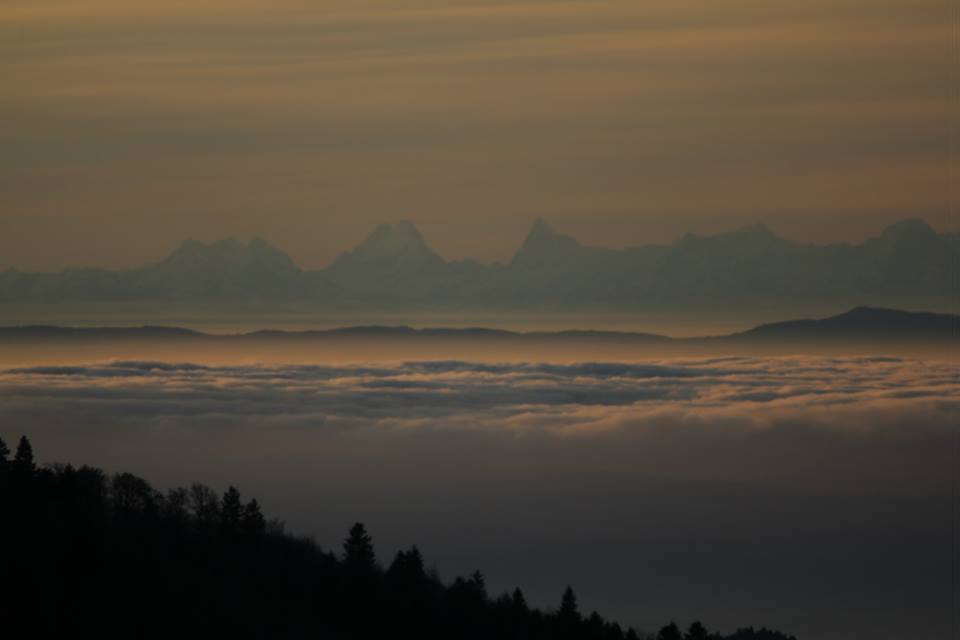 vosges alpes