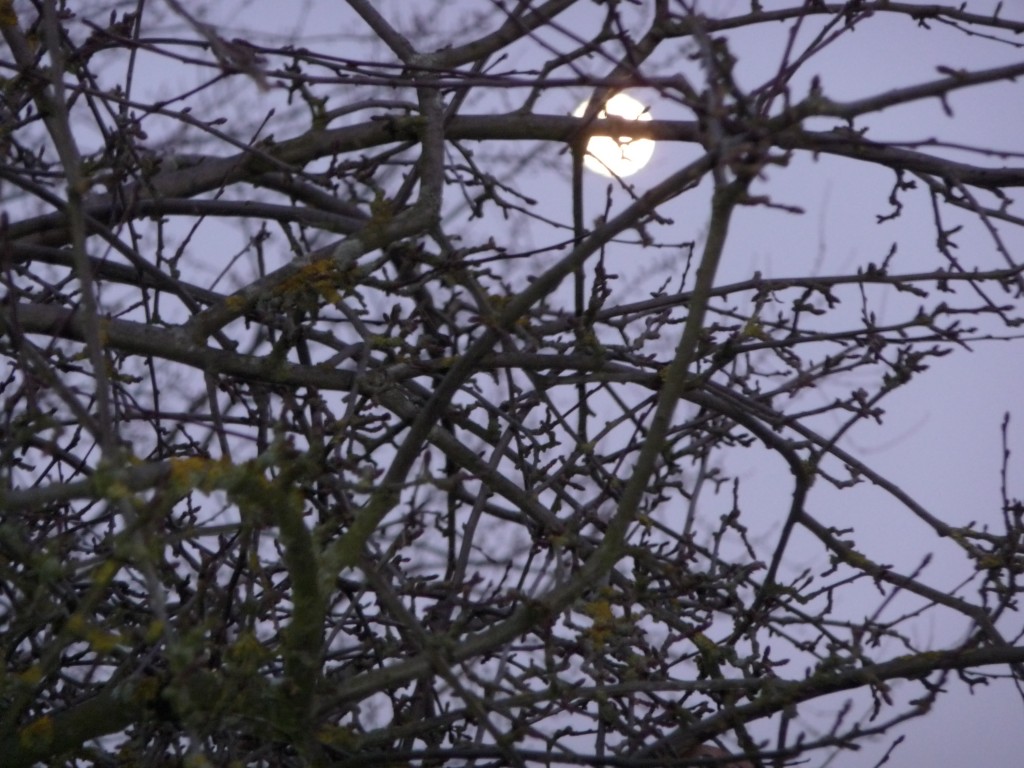 pleine lune 10